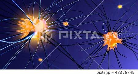 Transmitting synapse,neuron or nerve cell Transmitting synapse,neuron or nerve cell 47356749