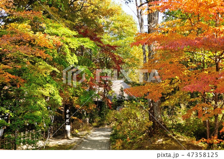 秋の平家の里 47358125