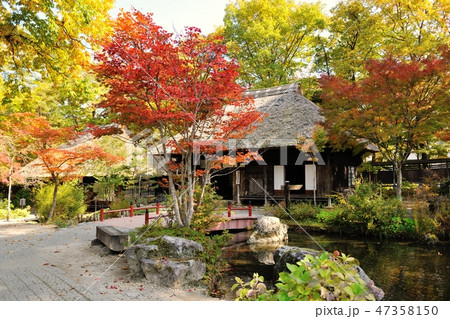 秋の平家の里 47358150