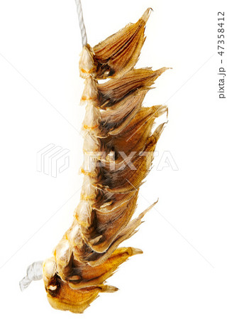 でべら でべら 47358412