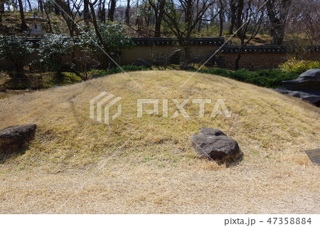 コリア庭園 47358884