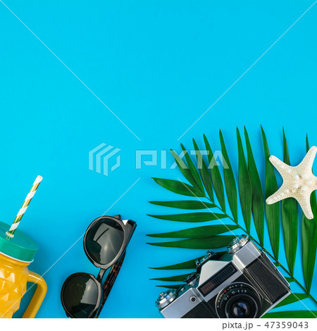 Travel flat lay concept with palm leaves Travel flat lay concept with palm leaves 47359043