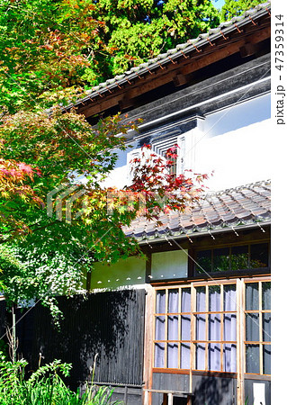 中野邸美術館の紅葉（新潟県） 47359314