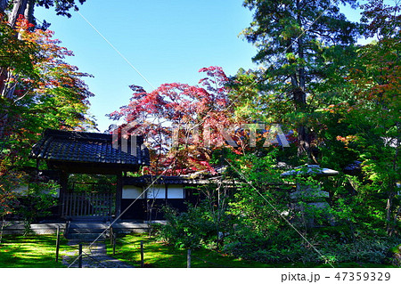 中野邸美術館の紅葉(新潟県) 中野邸美術館の紅葉(新潟県) 47359329