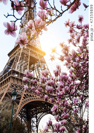 Eiffel Tower Eiffel Tower 47359899