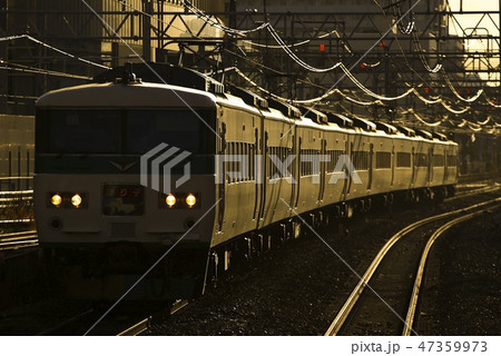 夕方の光を浴びる特急踊り子号 夕方の光を浴びる特急踊り子号 47359973