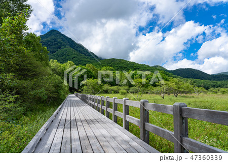 栃木県日光市 奥日光 小田代原 (8月) 栃木県日光市 奥日光 小田代原 (8月) 47360339