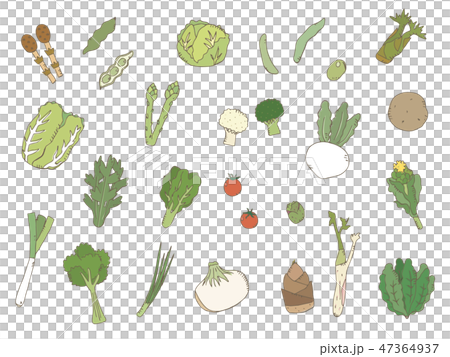 春季蔬菜2 47364937