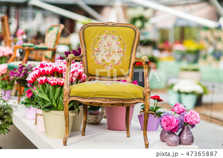 Wooden arm chair with beautiful fabric upholstery Wooden arm chair with beautiful fabric upholstery 47365887