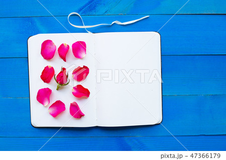 Diary notebook with rose on blue wooden Diary notebook with rose on blue wooden 47366179