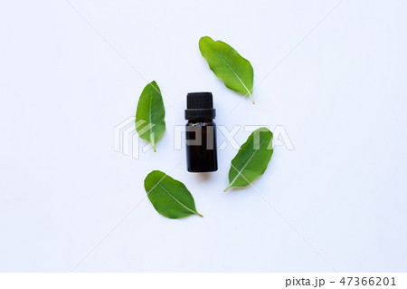Eucalyptus aromatherapy essential oils in bottle 47366201