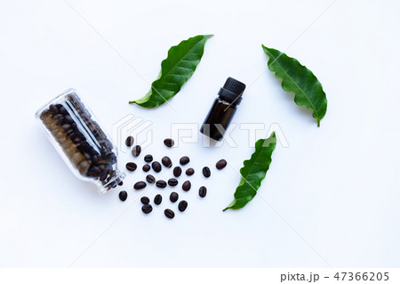 Glass bottle with essential oil of coffee on white Glass bottle with essential oil of coffee on white 47366205