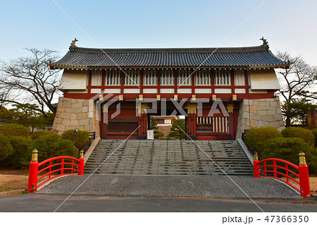 伏見桃山城 大手門 伏見桃山城 大手門 47366350