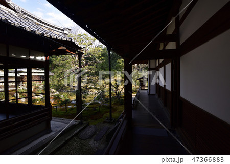 建仁寺塔頭寺院 両足院 建仁寺塔頭寺院 両足院 47366883