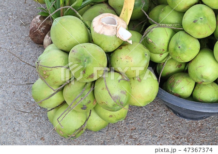 Coconut at street food Coconut at street food 47367374