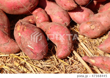 Sweet potato at street food 47368445