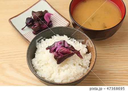 しばづけ しばづけ 47368695