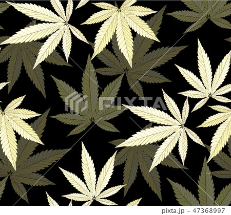 Marijuana Plant And Cannabis Black Color Backgrounのイラスト素材