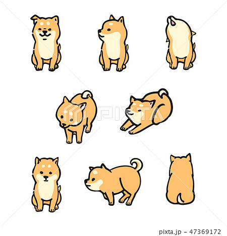 Shiba Inu Dog Parents Pose Facial Expression Stock Illustration