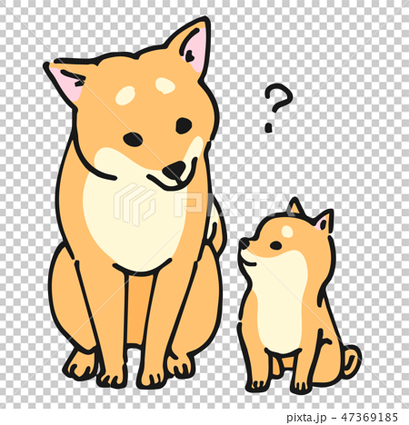 Shiba Inu Dog Parents Pose Facial Expression Stock Illustration