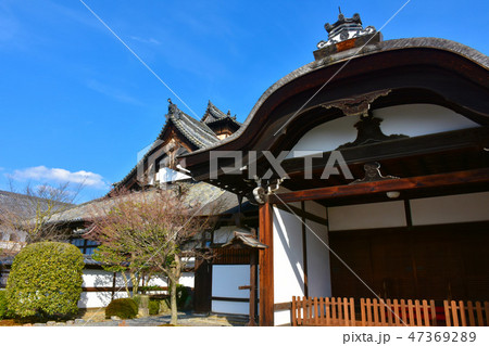 妙法院　大玄関と唐門 47369289