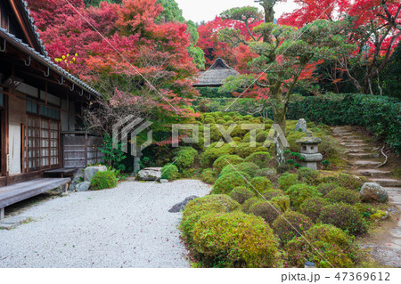 京都　金福寺（こんぷくじ）の紅葉　　　　　　 47369612