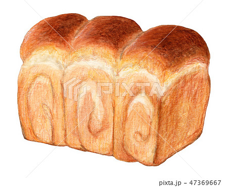 パン 山形食パン 手描き 水彩のイラスト素材