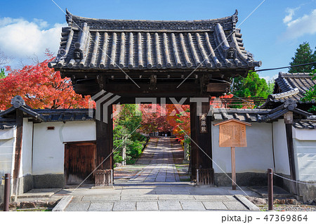 京都　養源院の山門と紅葉　　 47369864