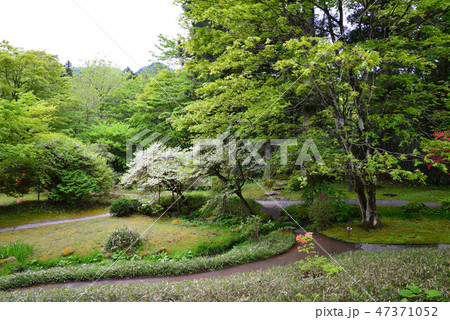 日光田母沢御用邸記念公園へ行きました　　＃19 47371052