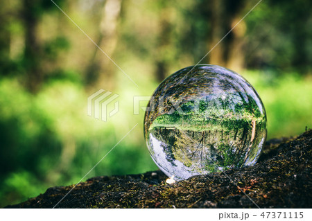 Crystal ball standing on a trunk, reflecting a forest. 47371115
