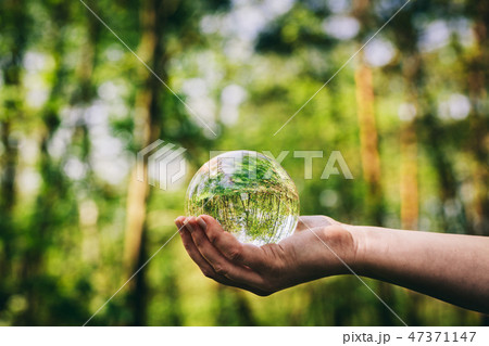 Woman's hand holding a glass sphere in the woods. 47371147