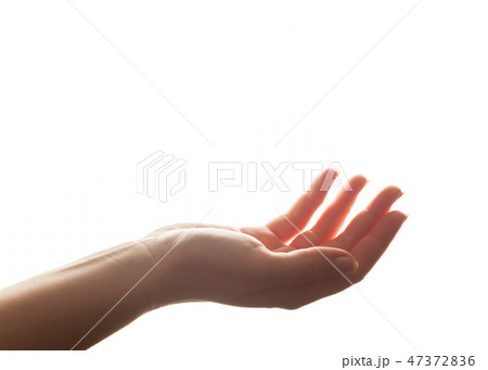Hand in gesture of holding, giving. Strong backlight, isolated on white 47372836