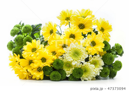 Bouquet of fresh spring flowers isolated on white. 47373094