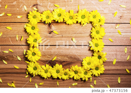 Fresh spring flowers and petals making frame on rustic wood. 47373156