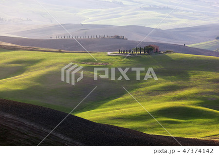 Tuscany landscape at sunrise. Tuscan farm house, vineyard, green hills. 47374142