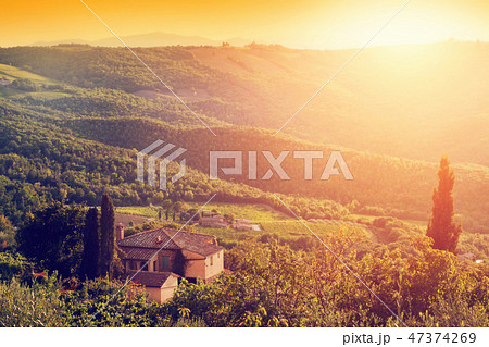 Vineyard and farm house, villa in Tuscany, Italy at sunset 47374269