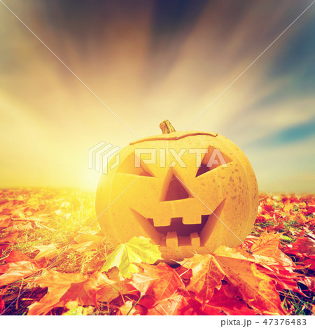 Autumn, fall landscape. Colorful leaves, sunset sky Autumn, fall landscape. Colorful leaves, sunset sky 47376483