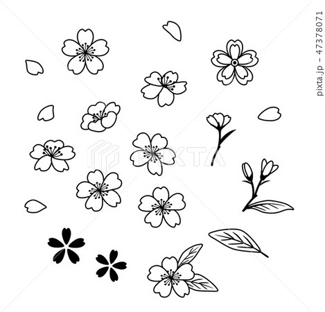 桜の花 スケッチ 素材セット 桜の花 スケッチ 素材セット 47378071