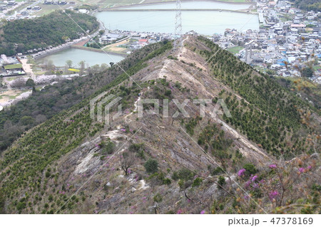 高御位山・馬の背 47378169