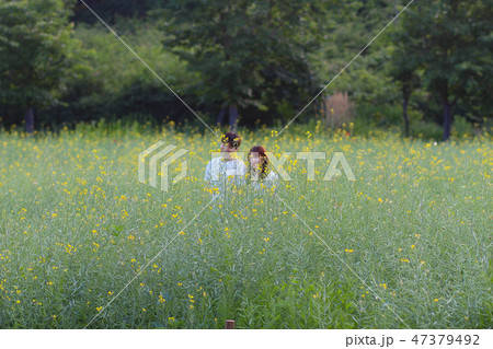 風景 釜山 海 47379492
