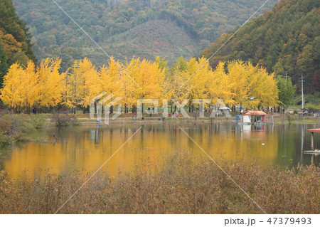 風景 釜山 海 47379493