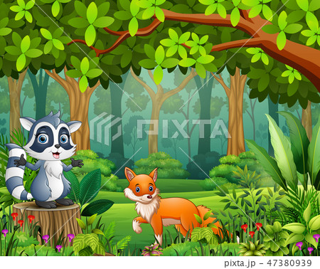 Animal cartoon in the beautiful green forest 47380939