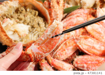 カニ 47381141