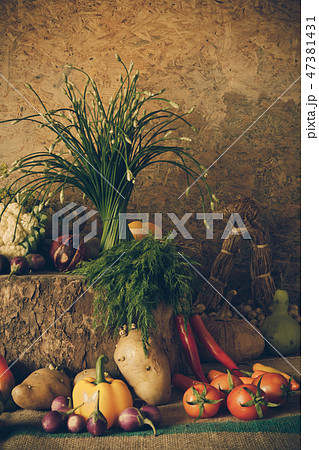 still life Vegetables, Herbs and Fruits. still life Vegetables, Herbs and Fruits. 47381431
