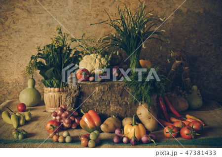 still life Vegetables, Herbs and Fruits. still life Vegetables, Herbs and Fruits. 47381433