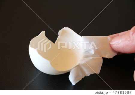 卵殻膜 卵殻膜 47381587