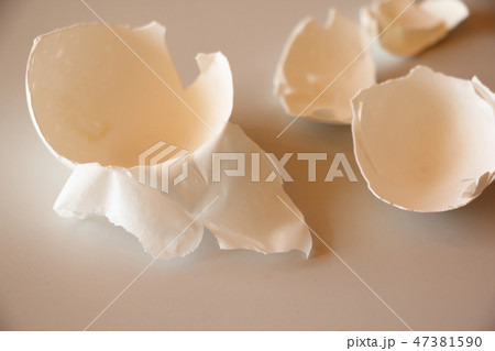 卵殻膜 卵殻膜 47381590