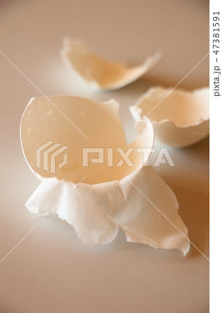 卵殻膜 47381591