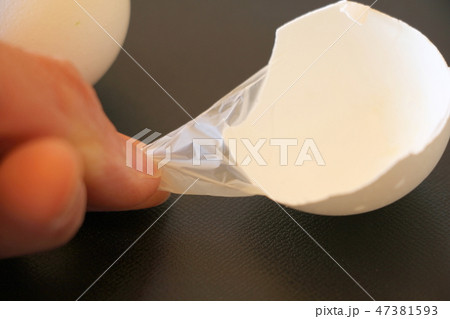 卵殻膜 卵殻膜 47381593