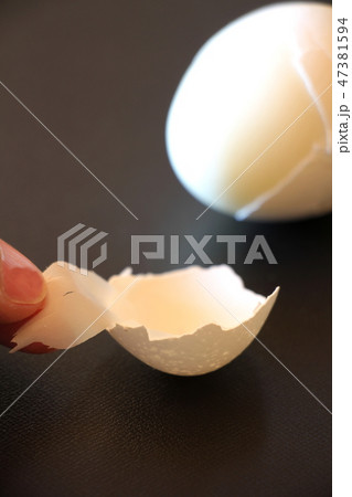 卵殻膜 47381594